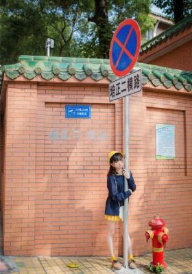 寻情记2024年全集完整版视频播放