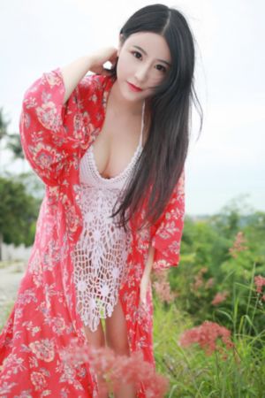 成何体统 动漫
